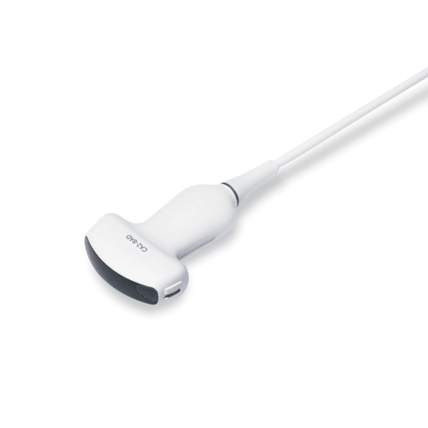 ECHOGRAPHIE NOIR ET BLANC 2 SONDE CONVEXE ENDOVAGINALE CM600C